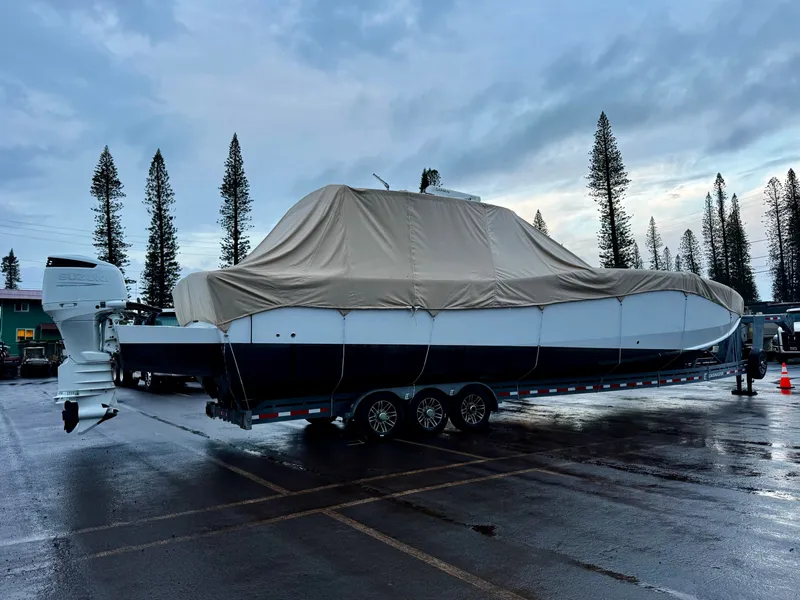 Slide: The Image of Insetta i45 2015 - 23