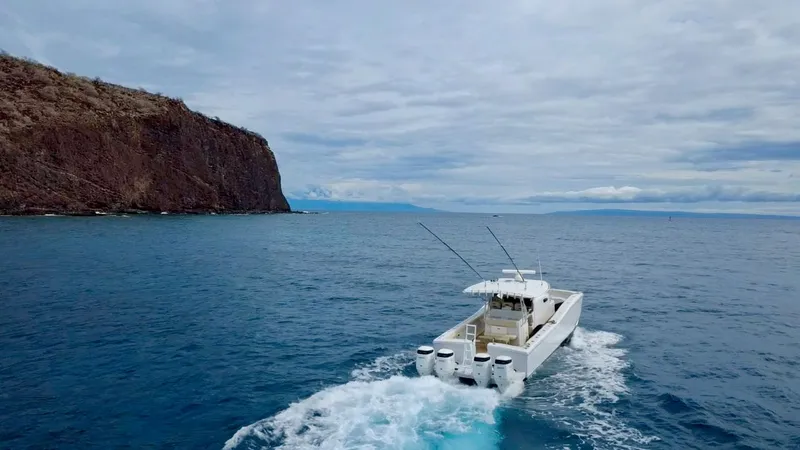 Slide: The Image of Insetta i45 2015 - 3