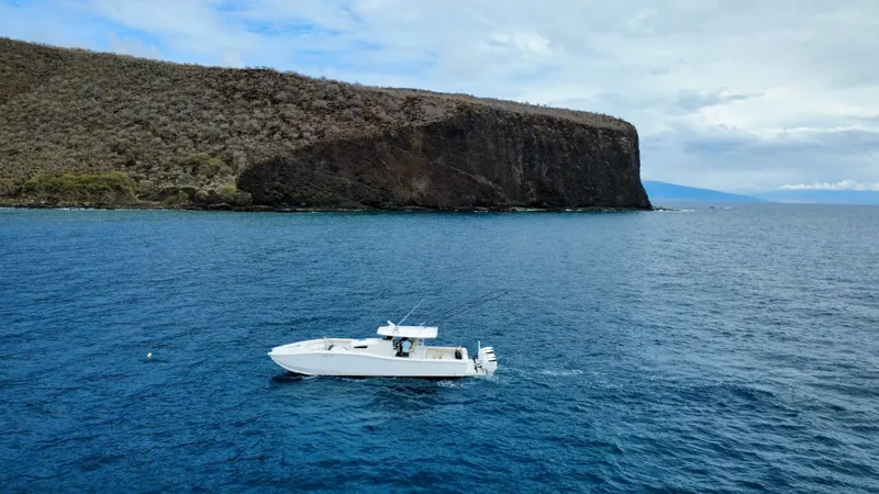 Slide: The Image of Insetta i45 2015 - 4