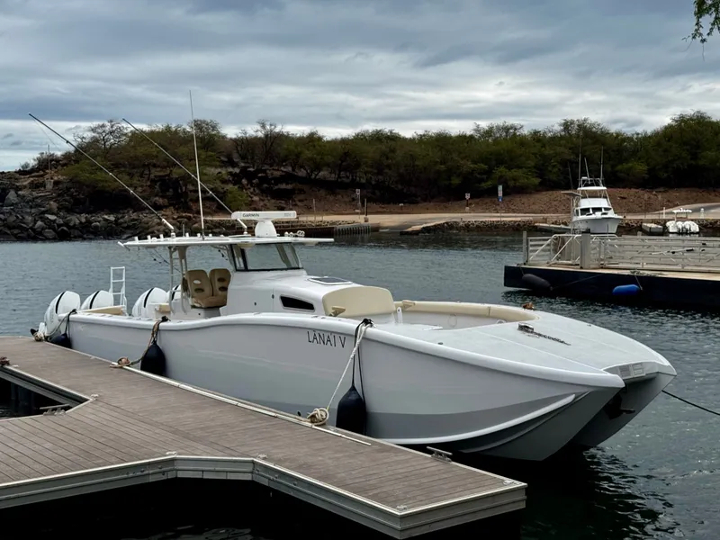 Slide: The Image of Insetta i45 2015 - 7