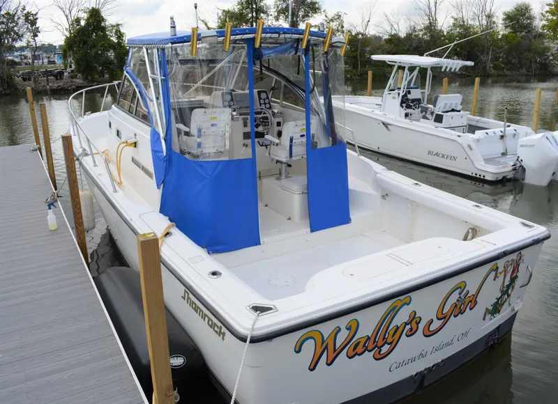Slide: The Image of 2001 Shamrock 290 Walkaround boat docked, featuring blue canopy and custom graphics. - 7