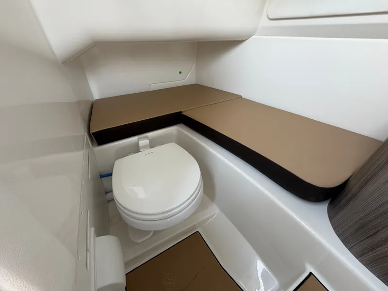 Slide: The Image of Sea Ray SDX 270 Outboard 2026 - 26