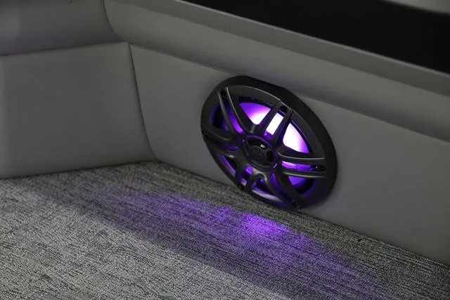 Slide: The Image of South Bay LE 222 RS 2026 - 19