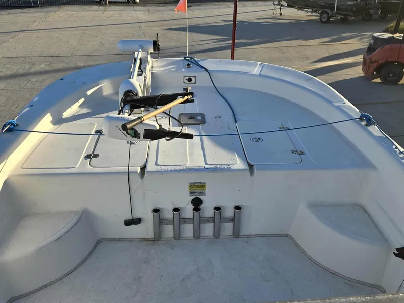 Slide: The Image of Carolina 198 DLV 2008 - 11