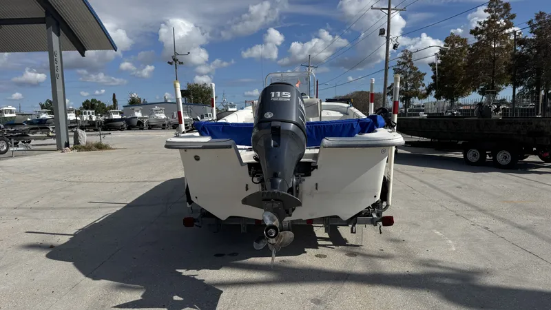 Slide: The Image of Carolina 198 DLV 2008 - 3