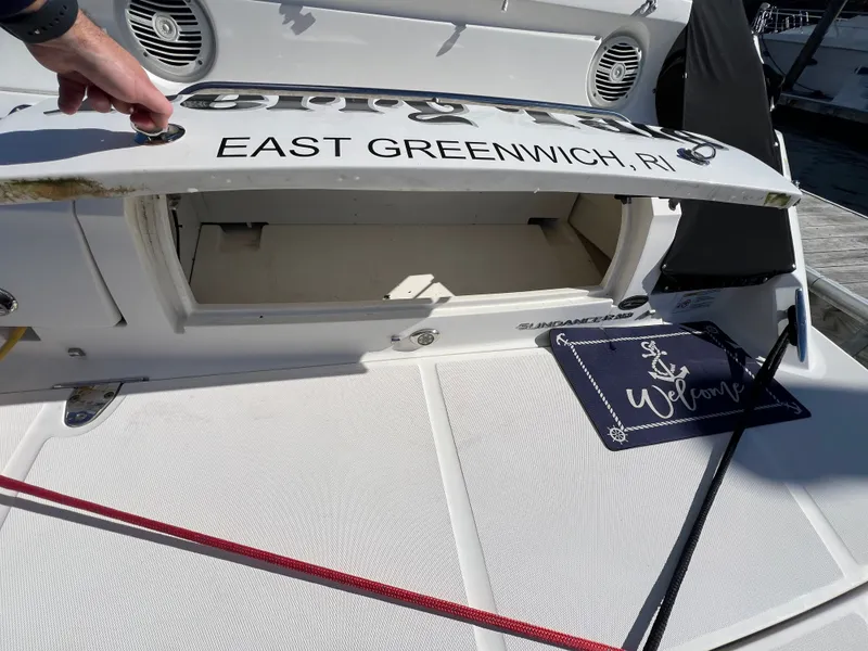 Slide: The Image of Sea Ray Sundancer 350 2018 - 11
