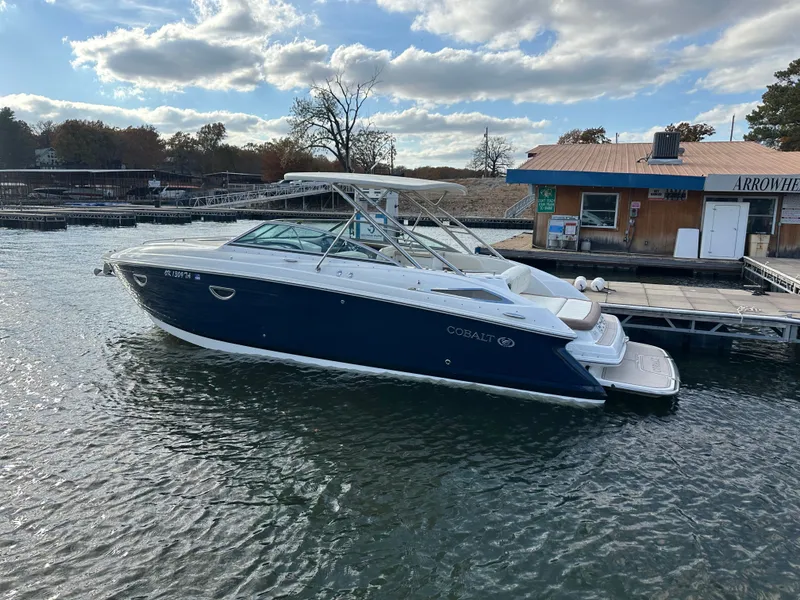 The Image of Cobalt 303 2012 - 1