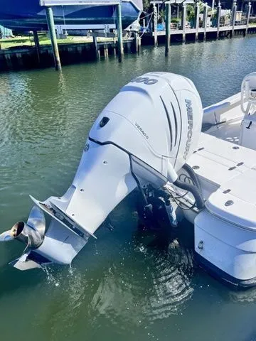 Slide: The Image of Blackjack 256 Bay 2021 - 3