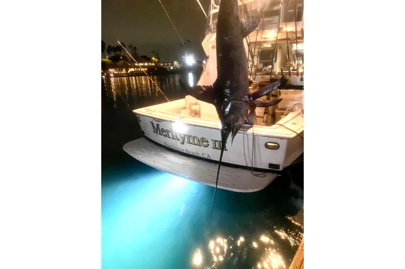 Slide: The Image of 1995 Hatteras 50 Convertible Sportfish with large catch at night, illuminated by underwater lights. - 15