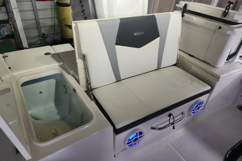 Slide: The Image of 2024 Robalo 246 Cayman boat interior with seating, storage, and speakers. - 10