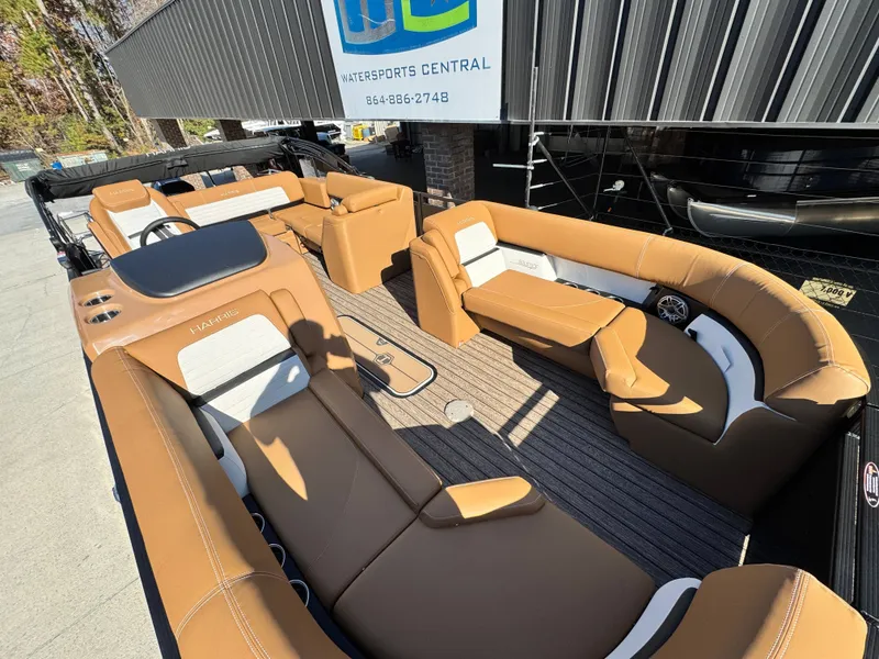 Slide: The Image of Harris Solistice 230 2026 - 8