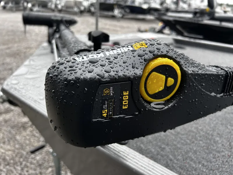 Slide: The Image of Lowe Skorpion 16 2026 - 2