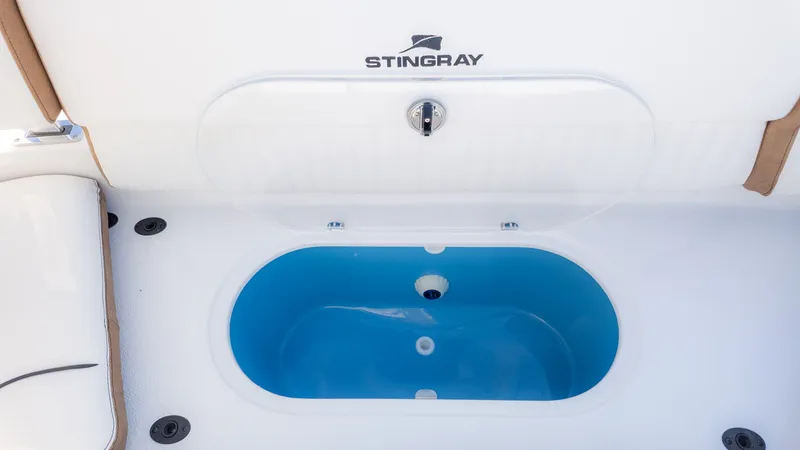 Slide: The Image of Stingray 211 DC 2026 - 11