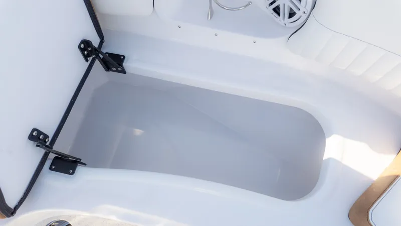 Slide: The Image of Stingray 211 DC 2026 - 19