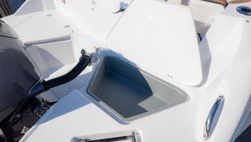 Slide: The Image of Stingray 211 DC 2026 - 6