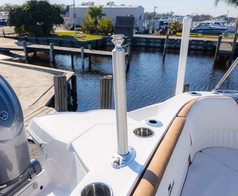 Slide: The Image of Stingray 211 DC 2026 - 7