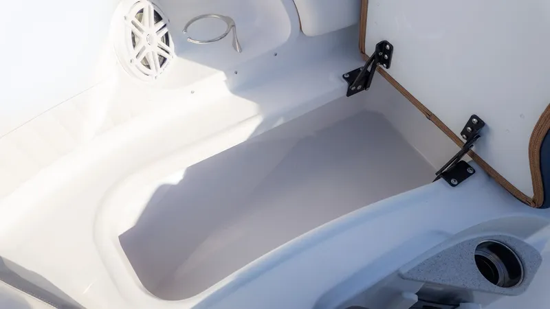 Slide: The Image of Stingray 211 DC 2026 - 20