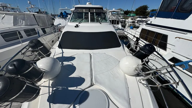 Slide: The Image of Bow Sun Pads - 43