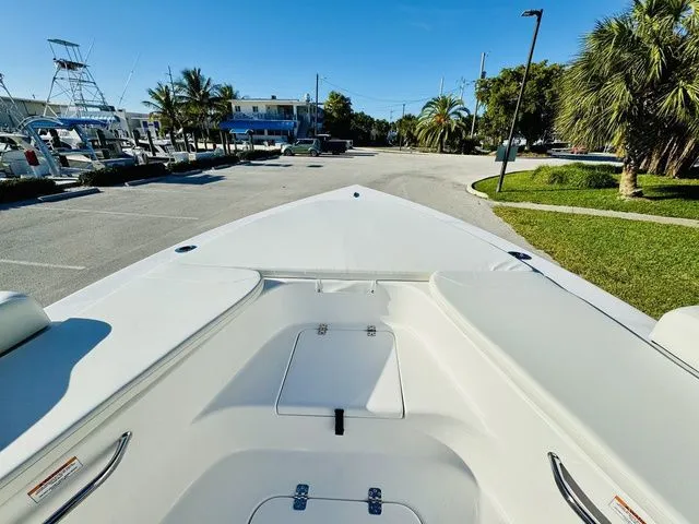 Slide: The Image of Sea Pro 230 DLX 2026 - 17