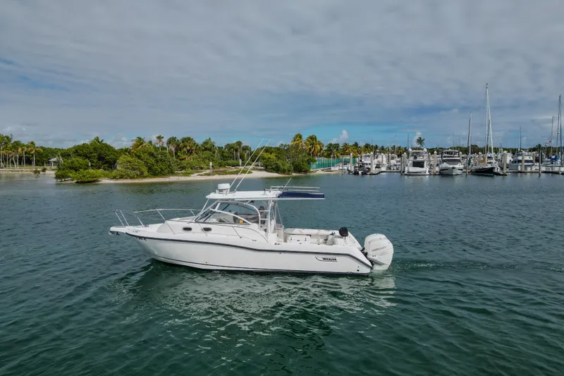 Slide: The Image of 2007 Boston Whaler 305 Conquest boat cruising near a marina with palm trees. - 5