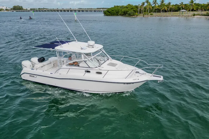 Slide: The Image of 2007 Boston Whaler 305 Conquest cruising on open water, scenic backdrop. - 7