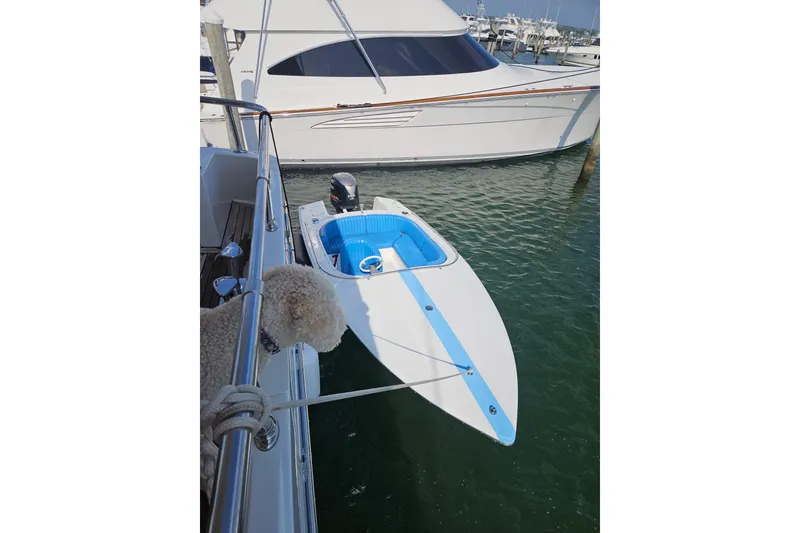 Slide: The Image of 1972 Donzi Sweet 16 Baby boat docked, featuring blue and white design, with a dog observing. - 12