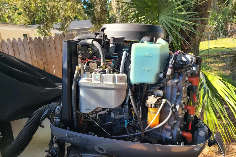 Slide: The Image of 2003 Aquasport 205 Osprey boat engine, detailed view with surrounding foliage. - 18