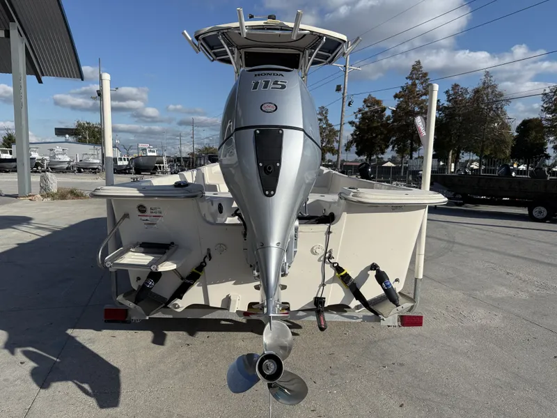 Slide: The Image of Carolina 218 DLV 2017 - 11