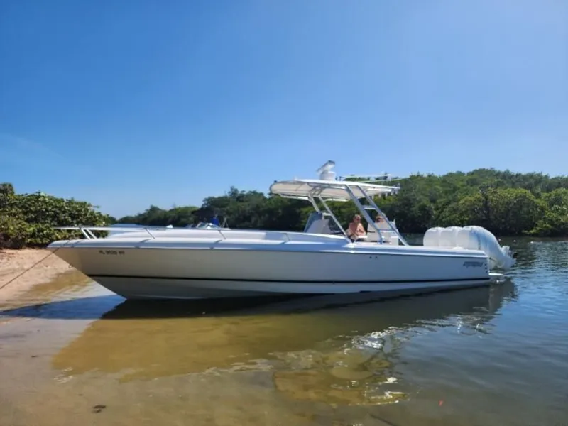 The Image of Intrepid 323 2010 - 0