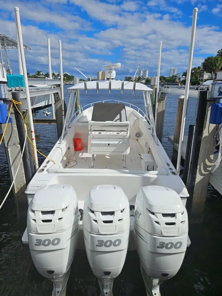 Slide: The Image of Intrepid 323 2010 - 17