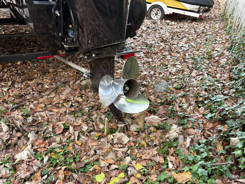 Slide: The Image of Regency dl3 230 2023 - 4