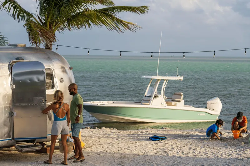 Slide: The Image of Boston Whaler 250 Dauntless 2026 - 13