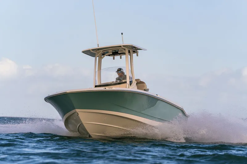 Slide: The Image of Boston Whaler 250 Dauntless 2026 - 20