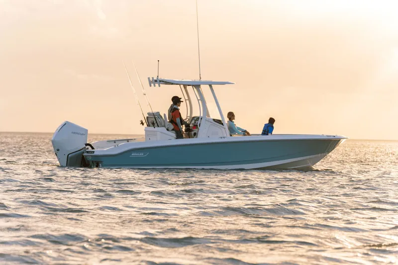 Slide: The Image of Boston Whaler 250 Dauntless 2026 - 4