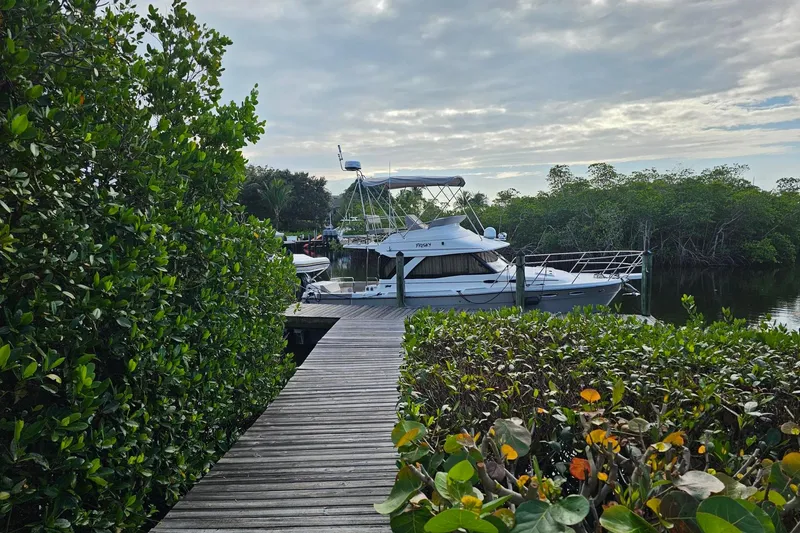 Slide: The Image of Boat docked by lush greenery, Cuwater C-32-CB, 2022 model, under cloudy sky. - 3