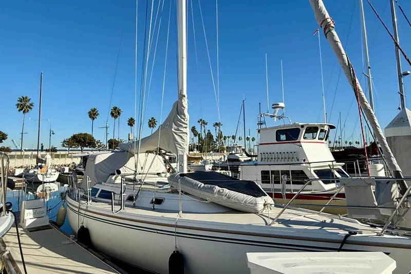 The Image of 1988 Catalina 36 sailboat docked in a marina with palm trees and clear blue sky. - 1