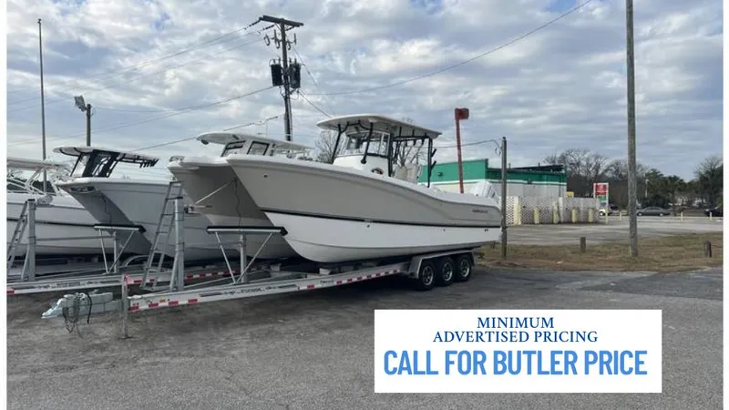 The Image of World Cat 295 CC 2025 - 1