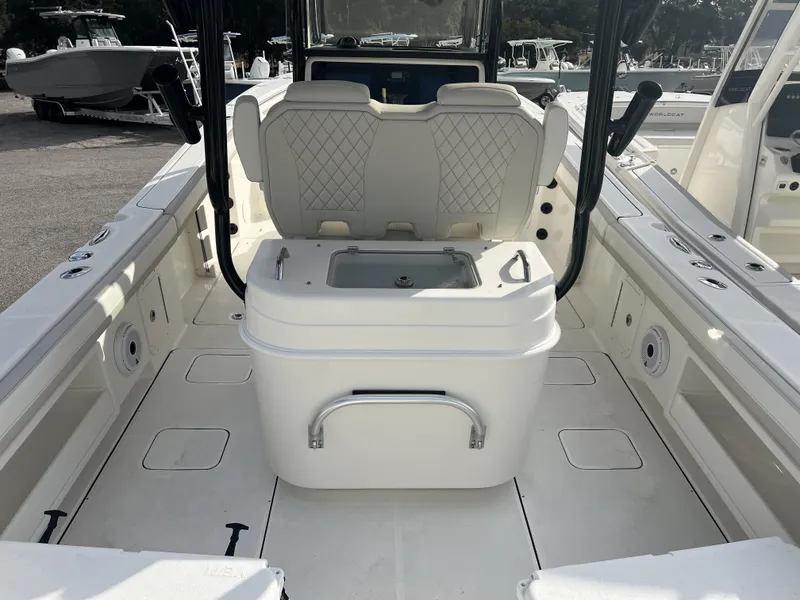 Slide: The Image of World Cat 295 CC 2025 - 10