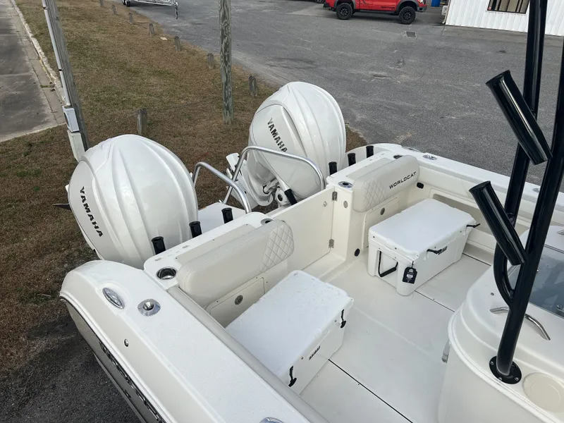 Slide: The Image of World Cat 295 CC 2025 - 11