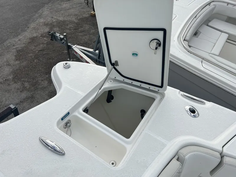 Slide: The Image of World Cat 295 CC 2025 - 13