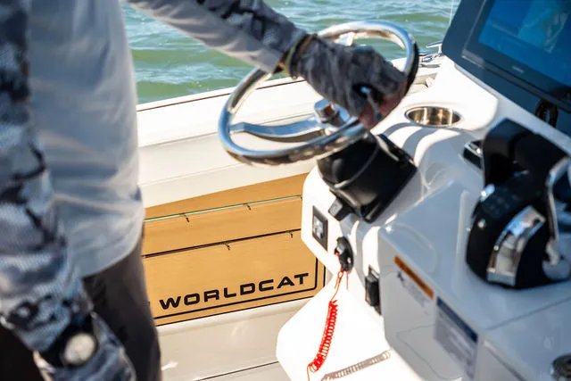 Slide: The Image of World Cat 295 CC 2025 - 30