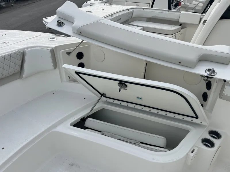 Slide: The Image of World Cat 295 CC 2025 - 6