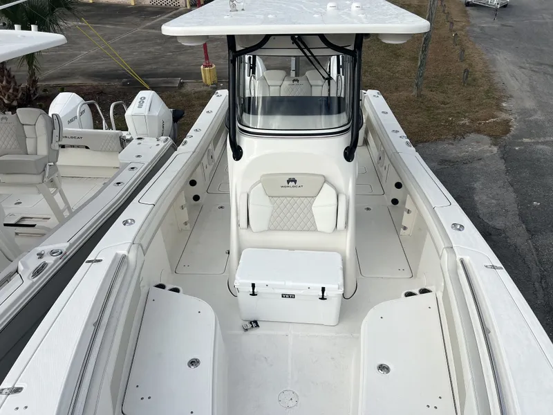 Slide: The Image of World Cat 295 CC 2025 - 7