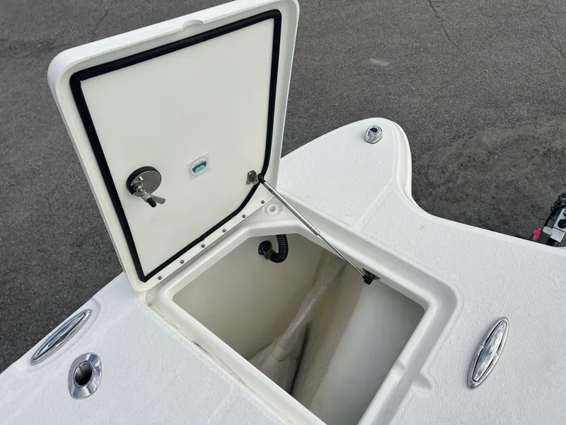 Slide: The Image of World Cat 295 CC 2025 - 8