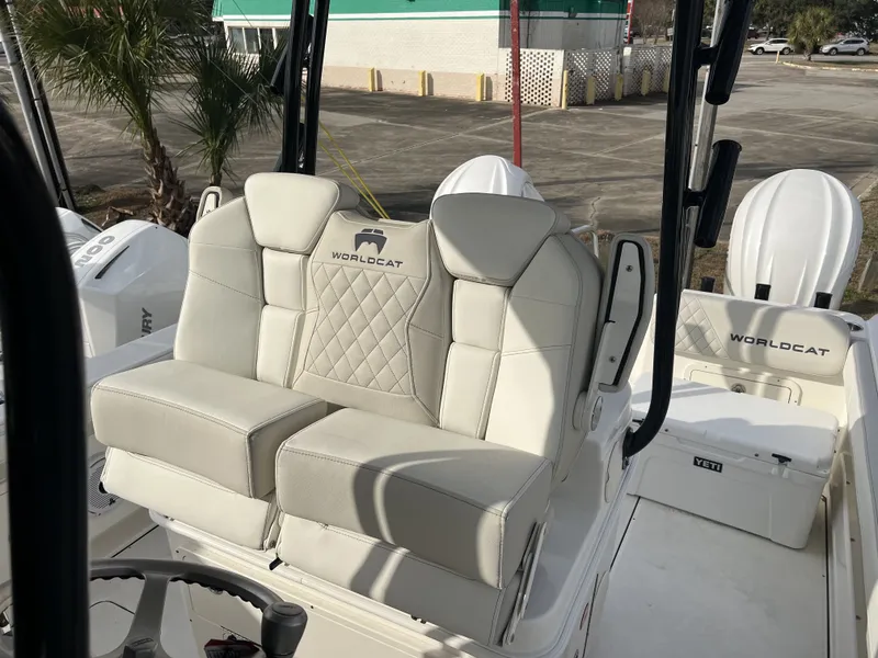 Slide: The Image of World Cat 295 CC 2025 - 9