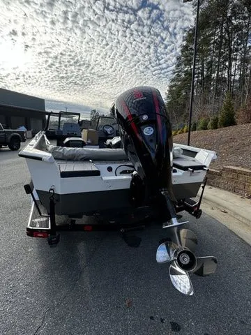 Slide: The Image of 2024 Vexus ADX190 boat with powerful outboard motor, parked outdoors under a cloudy sky. - 3