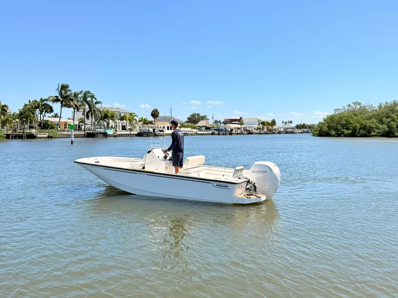 Slide: The Image of Boston Whaler 190 Montauk 2027 - 15