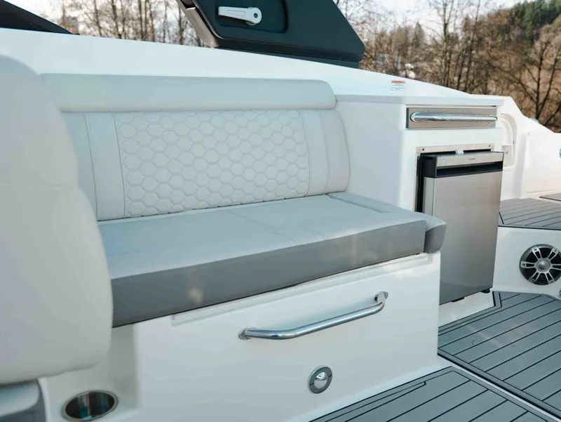 Slide: The Image of Sea Ray SDX 290 2025 - 18