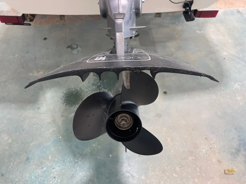 Slide: The Image of Sundance F19 SKIFF 2013 - 7