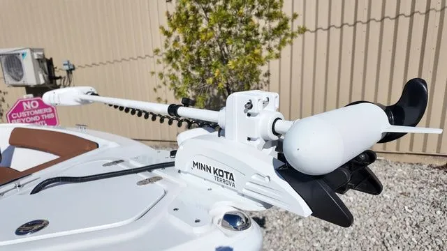 Slide: The Image of ALK2 18CRS 2026 - 13